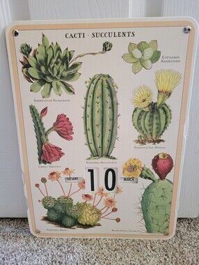 Cavallini & Co Perpetual Calendar, Cacti & Succulents